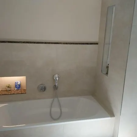 莱茵布里克别墅酒店 招待所 美因茨